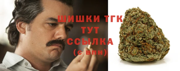 apvp Аркадак