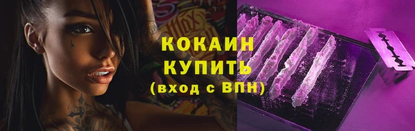 apvp Аркадак