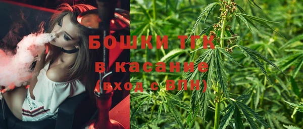 apvp Аркадак