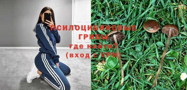ешки Армянск