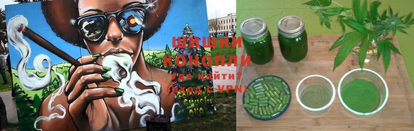 apvp Аркадак