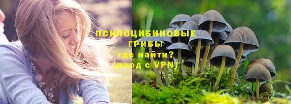 apvp Аркадак